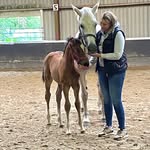 Liesbeth Kollmann - @liesbethkollmann - Instagram