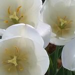 Beth Kopitzke - @bethkopitzke - Instagram