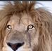 Beth Kopp - Facebook