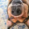 Leila's Mom - @bethkorth44 - TikTok