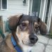 Beth Kozlowski - Facebook