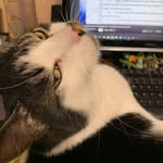 Beth Kraft - @beththebean76 - Instagram