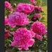 Beth Kraft - Facebook
