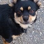 Beth Kramer - @beth.kramer.5851 - Instagram