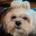 Beth Kramer - Facebook