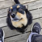 Beth Kramer - @bethkramer767 - Instagram
