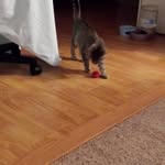 Beth Kramer - @beth.kramer3 - Instagram