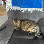 Beth Kramer - @bethkramer65 - Instagram