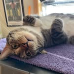 Beth Kranz - @beth.kranz72 - Instagram