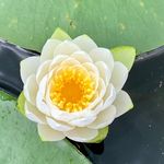 Beth Novak-Krebs - @krebs.beth64 - Instagram