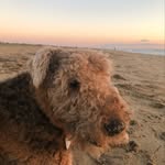 Beth Kreider Brunelle - @kreiderbrunelle - Instagram