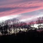 Beth Krick - @beth.krick.58 - Instagram