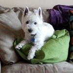 Beth Krug - @krugbeth - Instagram