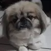 bethkruger61 - @bethkruger61 - TikTok