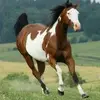 Beth Kruse - @beth.kruse7 - TikTok