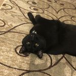 Beth Kruse - @shadow64bird - Instagram
