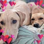 Beth McCorkle Kruse - @krusebeth - Instagram