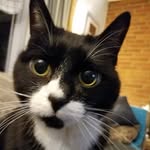 Beth Weixler Kucera - @bethkucera - Instagram