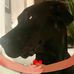 Elizabeth Kucera - Facebook