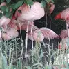 bethkuhnchmura - @bethkuhnchmura - TikTok