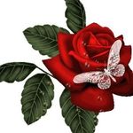 Beth Kunkel Lancaster - @kunkellancaster - Instagram
