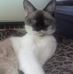 Beth Kurtz - Facebook