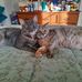 Beth Kurtz - Facebook