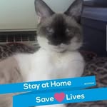 Beth Kurtz - @beth_kurtz0 - Instagram