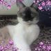 Beth Kurtz - Facebook