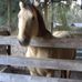 Beth Kurtzman - Facebook