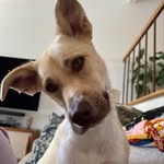 Ethan Kurtzman - @drkurtzman - Instagram