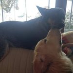 Bette Kutcher Schuette - @bettel2 - Instagram