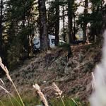 Beth Kyle Eleanor | Vanlife - @limpetandloid - Instagram