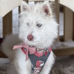 Beth LaBerge - @keypurs - Instagram