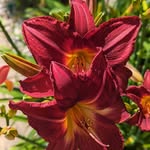 Beth Rick LaBerge - @beth_laberge - Instagram