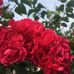 Beth LaBossiere - Facebook