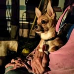 Betsy LaChance Brewer - @betsylachancebrewer - Instagram