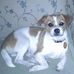 Beth Lacy - Facebook