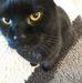 Beth Ladd - Facebook