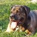 Beth Ladd - Facebook