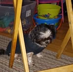 Elizabeth LaGasse - Facebook