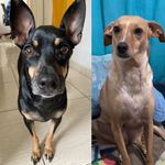 Lala Buzuca & Beth Espaghetti - @buzucaslalaebeth - Instagram