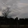 Bethany Lamb - @bethany.lamb4 - TikTok