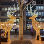 Beth Lamont - @darlingtonroad20 - Instagram