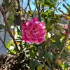 Beth Lamphere - @beth.lamphere - TikTok