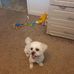 Beth Lancaster - Facebook