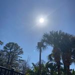 Beth Landis - @landisb - Instagram