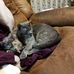 Beth Landis - Facebook