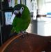 Beth Landon - Facebook