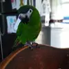 bethlandon820 - @bethlandon820 - TikTok